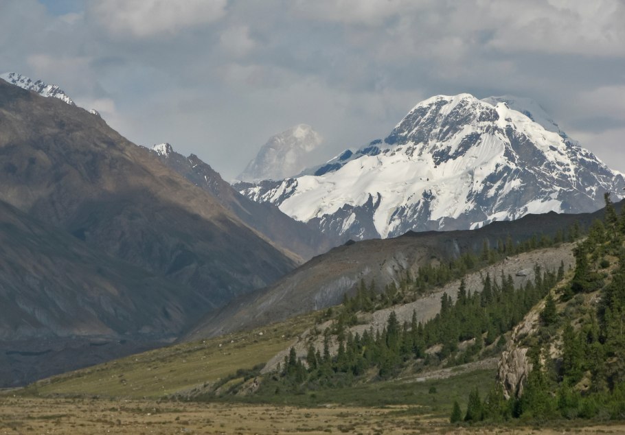 Адриана Чечик Gabriella Paltrova