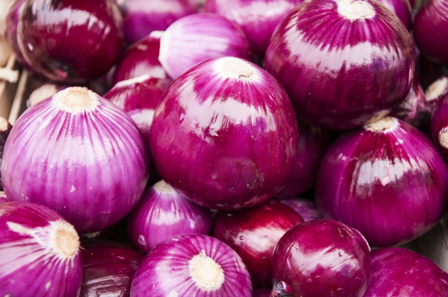 Лук севок ред Семко