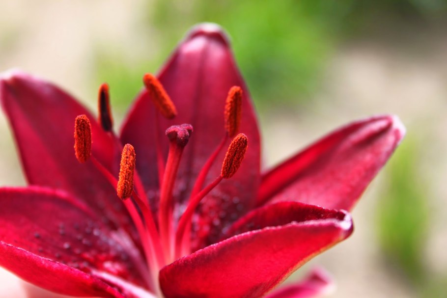 Люстра Freya Esme fr1005pl-05g