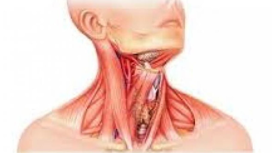 Властная женщина