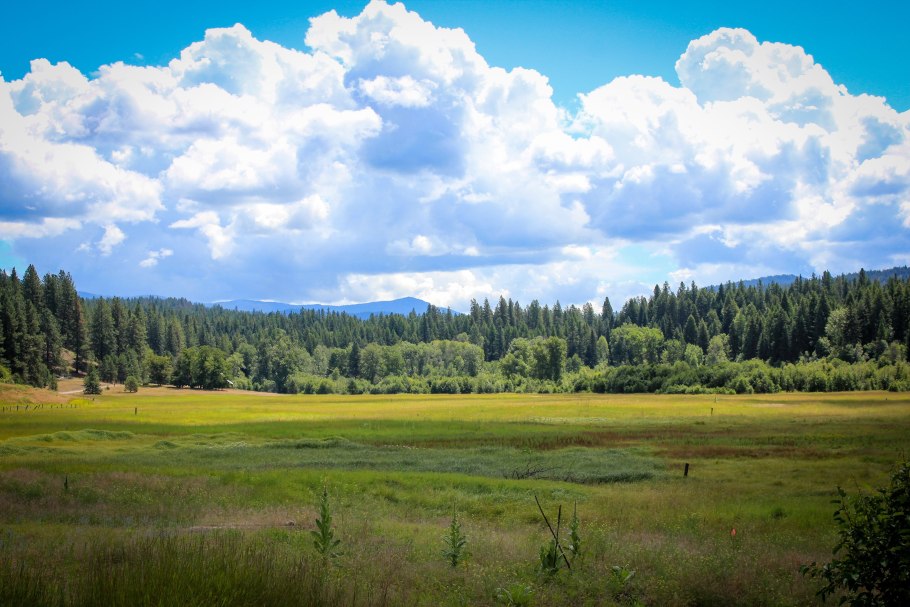 Шунгеровский заказник