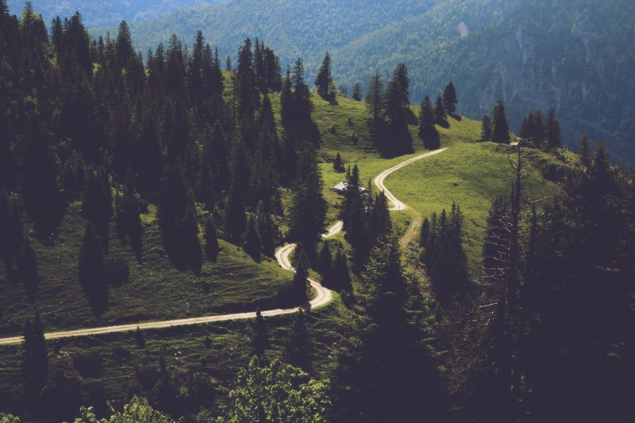 Лиственный лес России тропинка