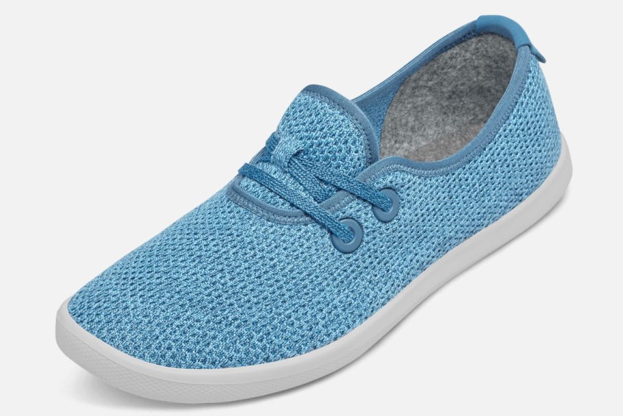 Пальма никау