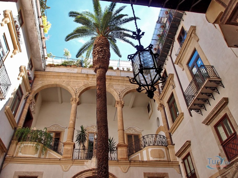 Пальма Арека маленькая