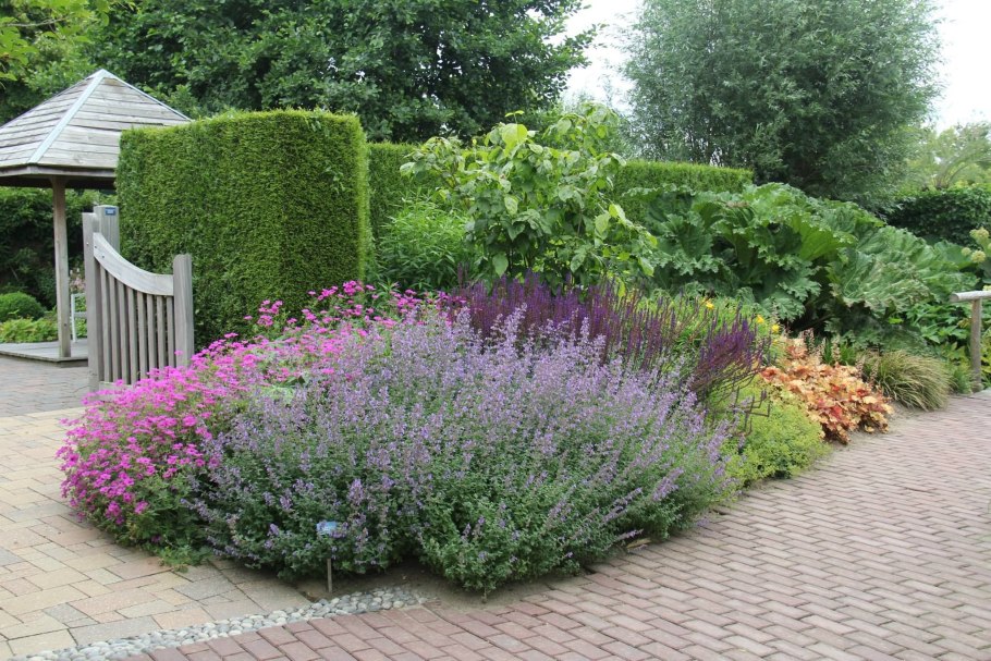 Растения дизайн