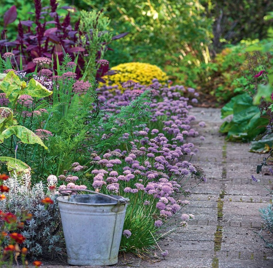 Клумба грядка розмарин тимьян