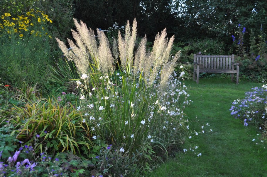 Сады английских Садовников