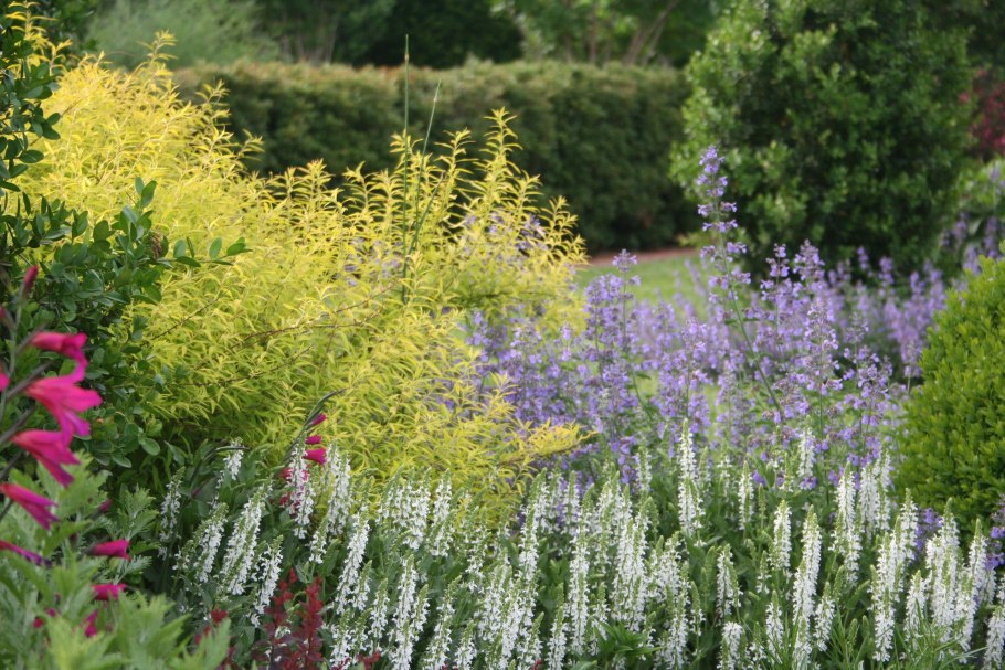 Миксбордер Гертруды Джекилл