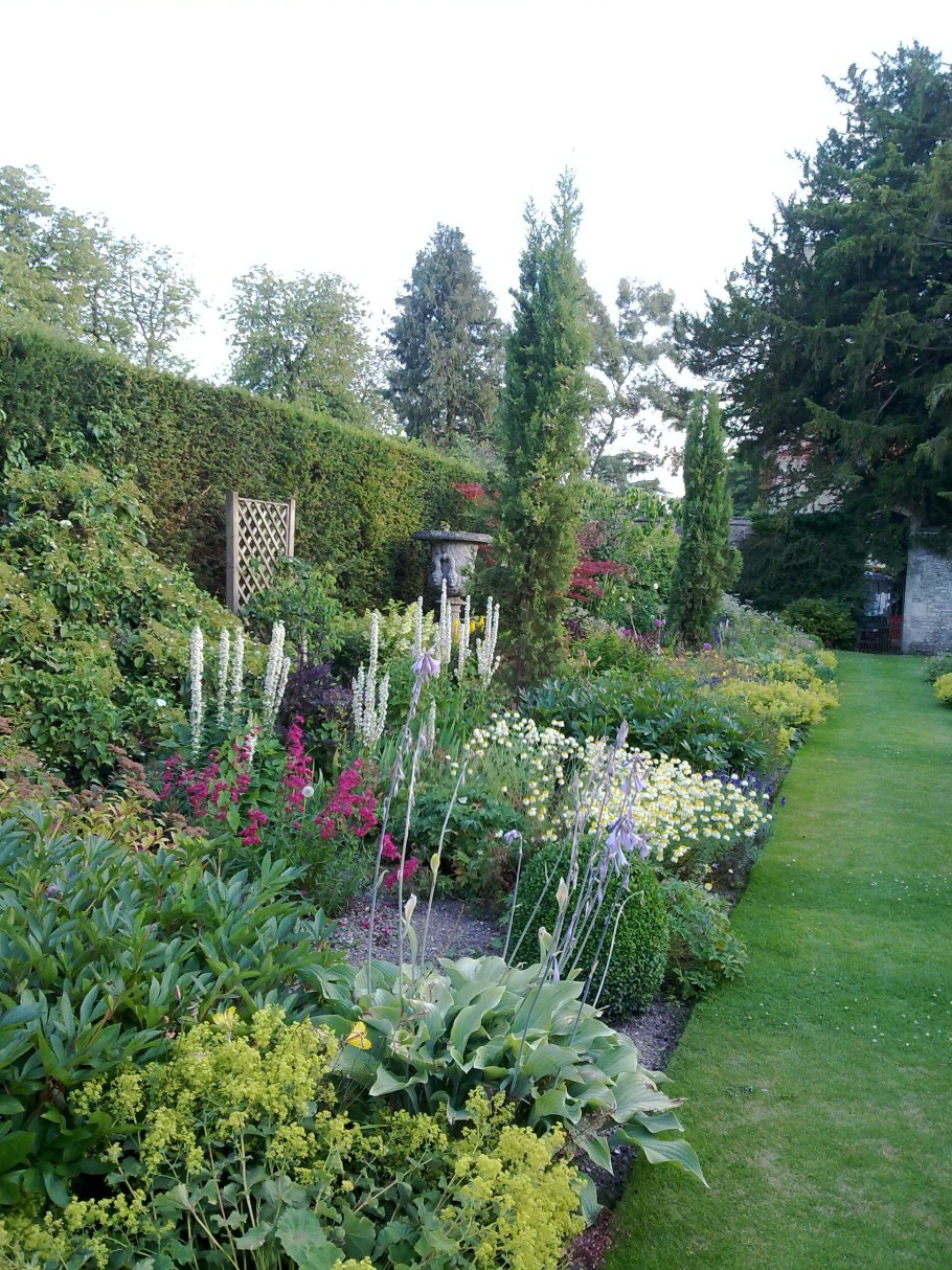 Бордюр из пряных трав