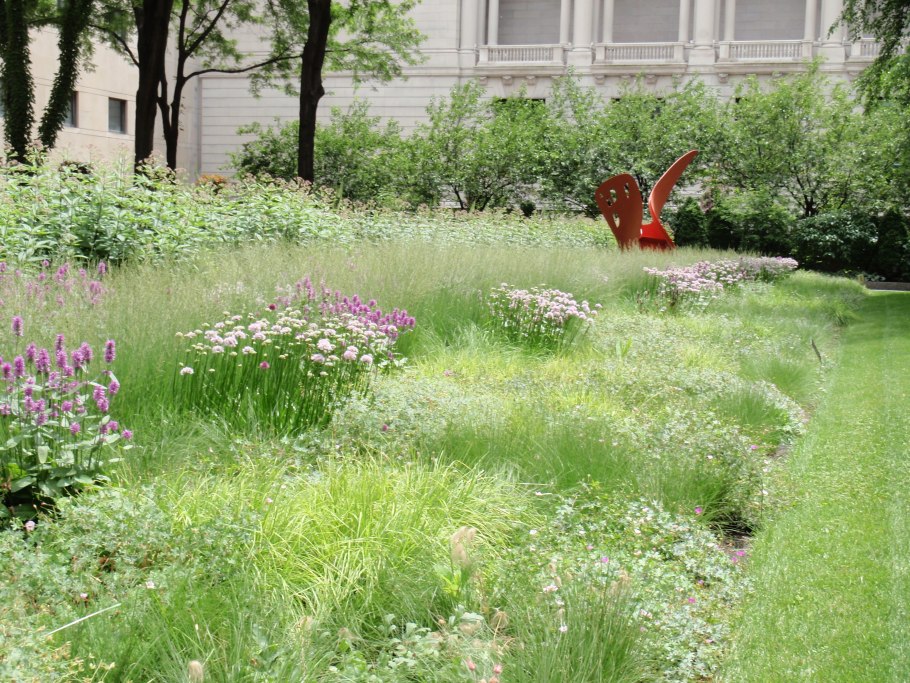 Живая изгородь в английском саду