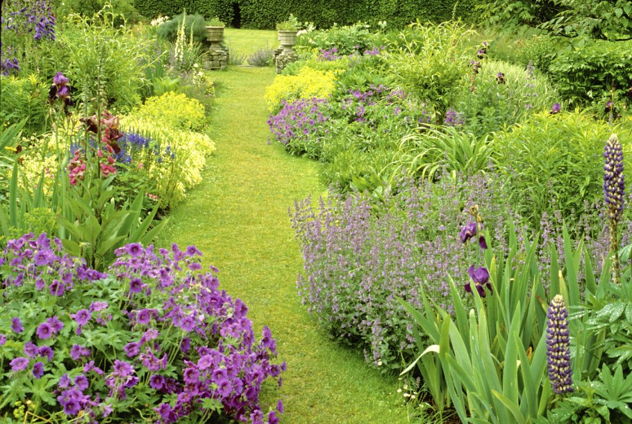 Светлана Александрова-бордюры в цветниках