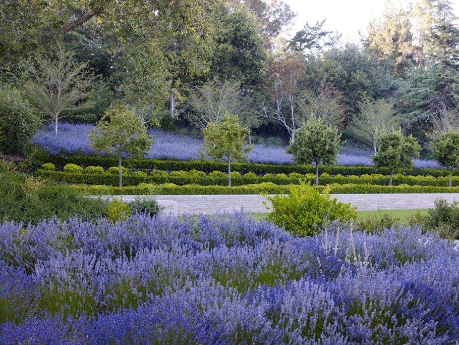 Сады Англии микросбордеры