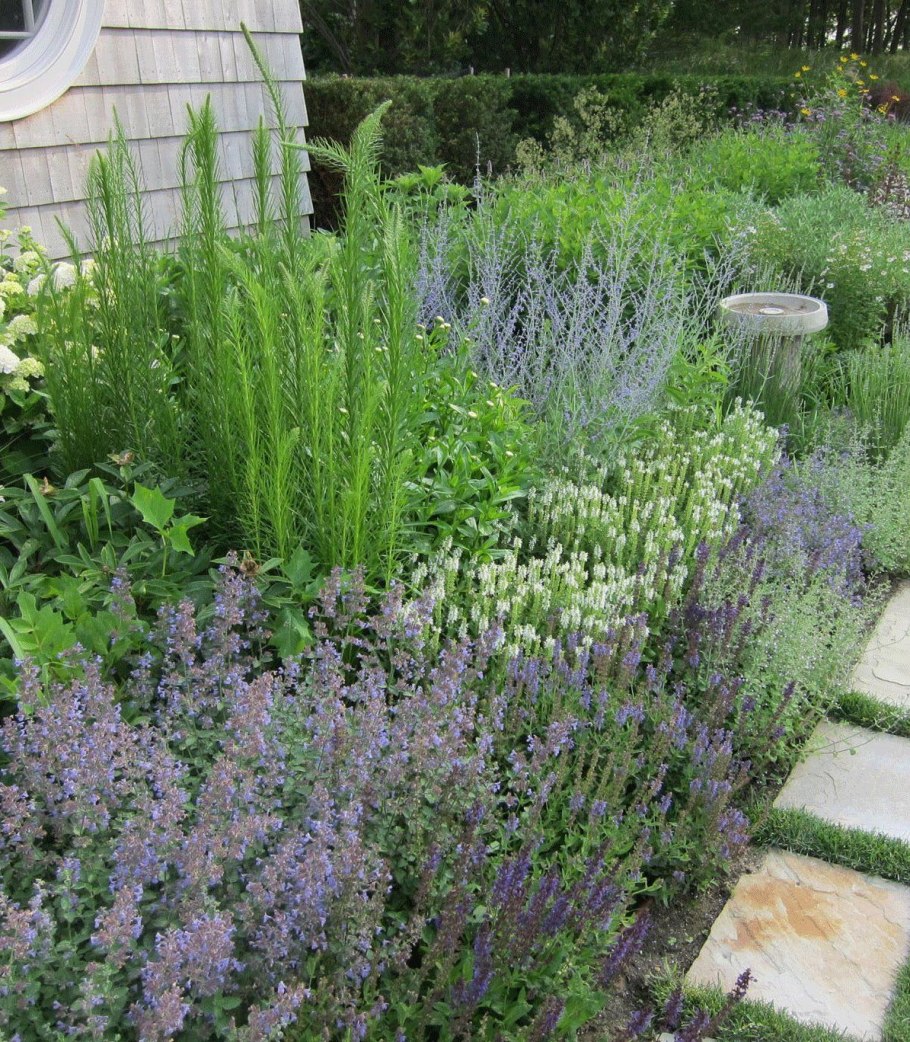 Бордюр из пряных трав