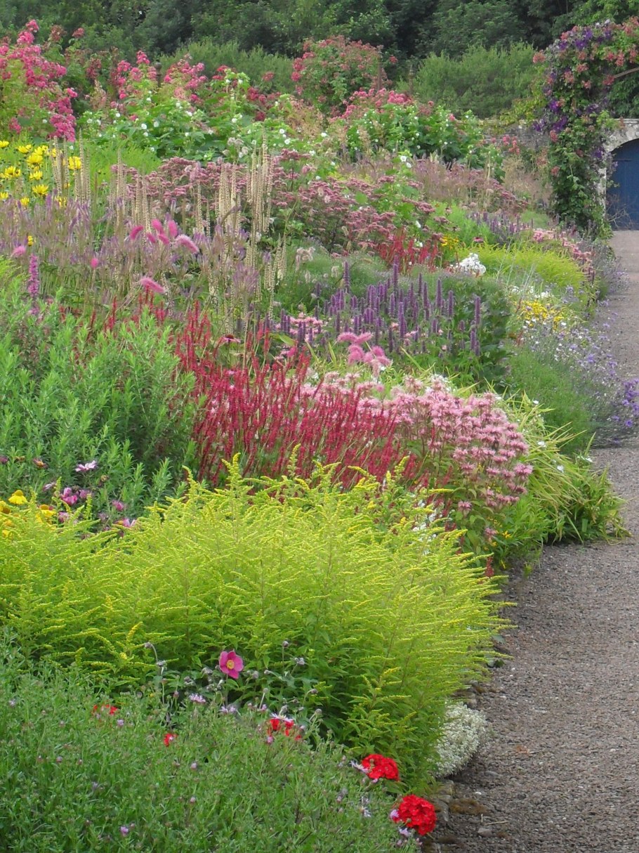 Сад из пряных трав