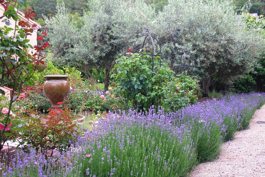 Гарден бордер