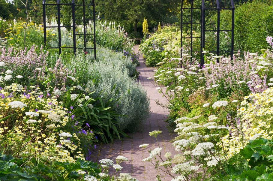 Миксбордер с гелениумами