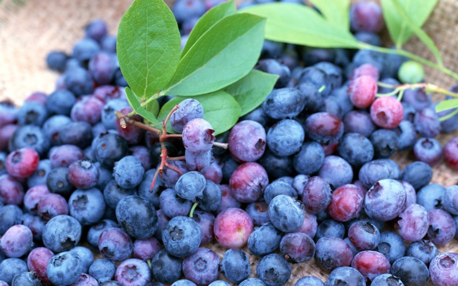 Ирга варенье из ирги