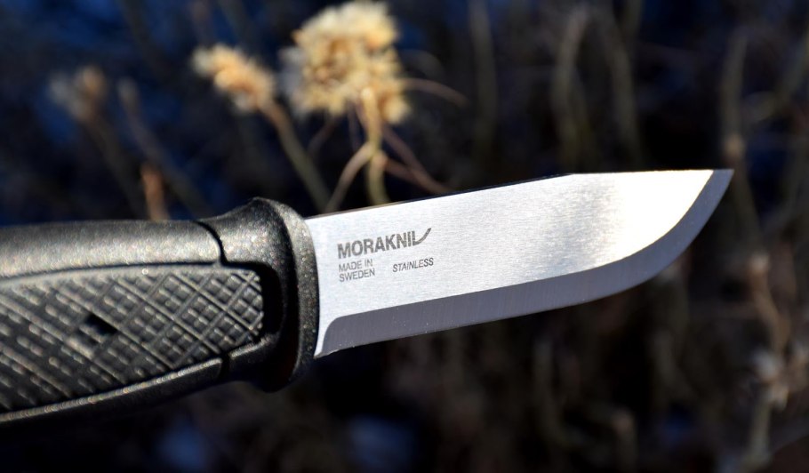 Фиолетовая ягода на кустах