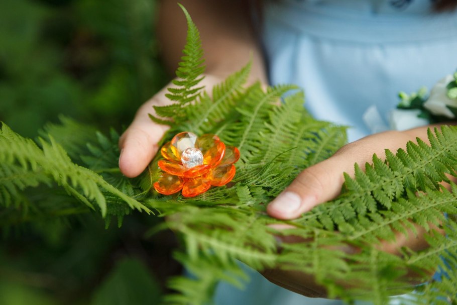 Папоротник Щитовник ростки