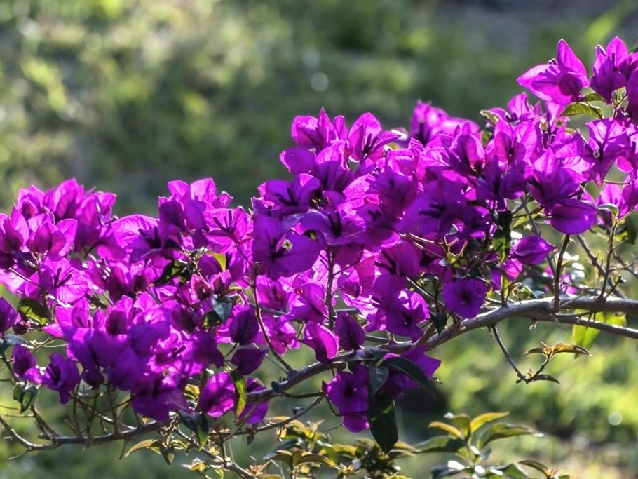 Италия фото