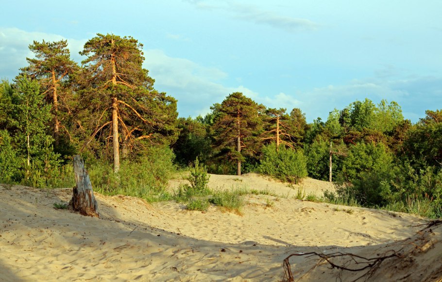 Сосновый Бор Ягры Северодвинск