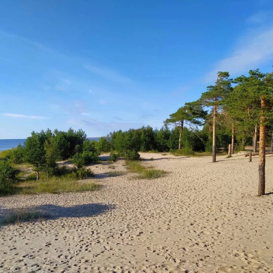 Липовский пляж Сосновый Бор