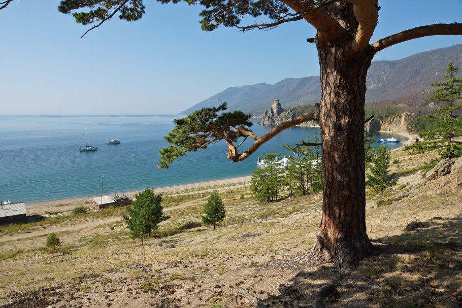 Крым сосны горы море Песчаное