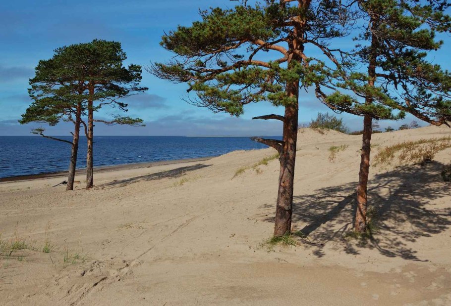 Дюны Северодвинск Ягринский Бор