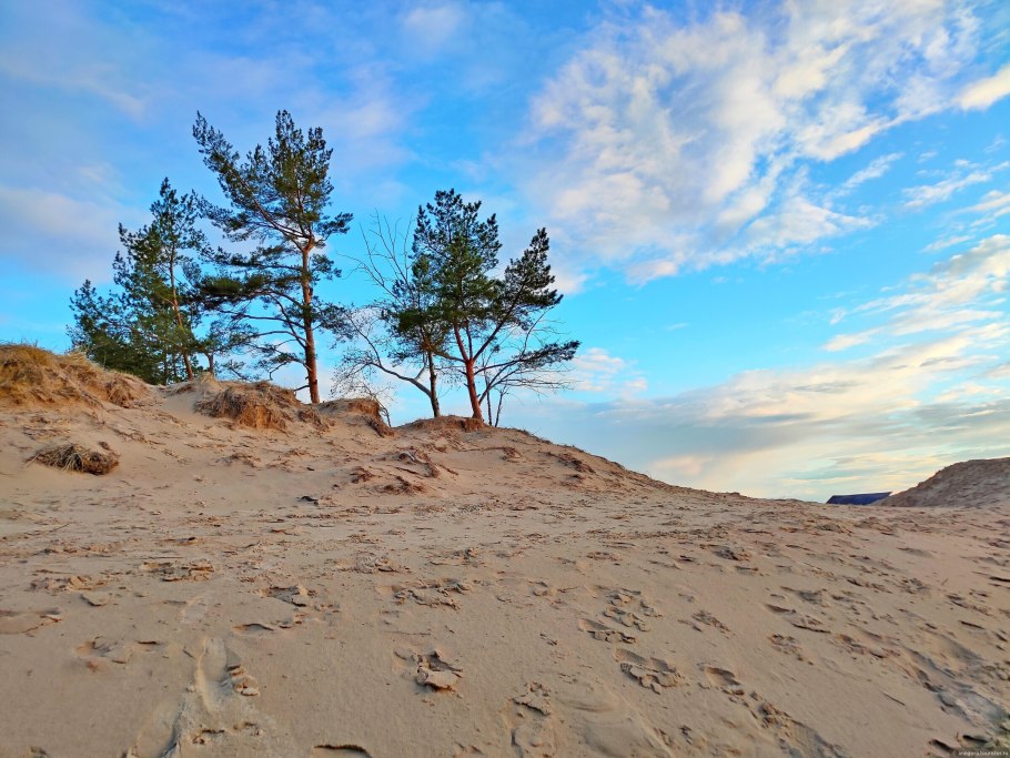 Песчаные дюны Сосновый Бор