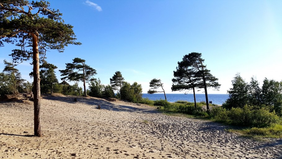 Ягринский Бор Северодвинск