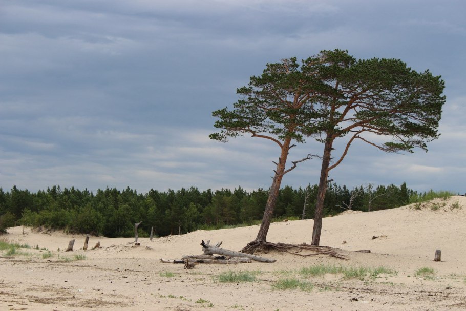 Северодвинск Ягры дюны