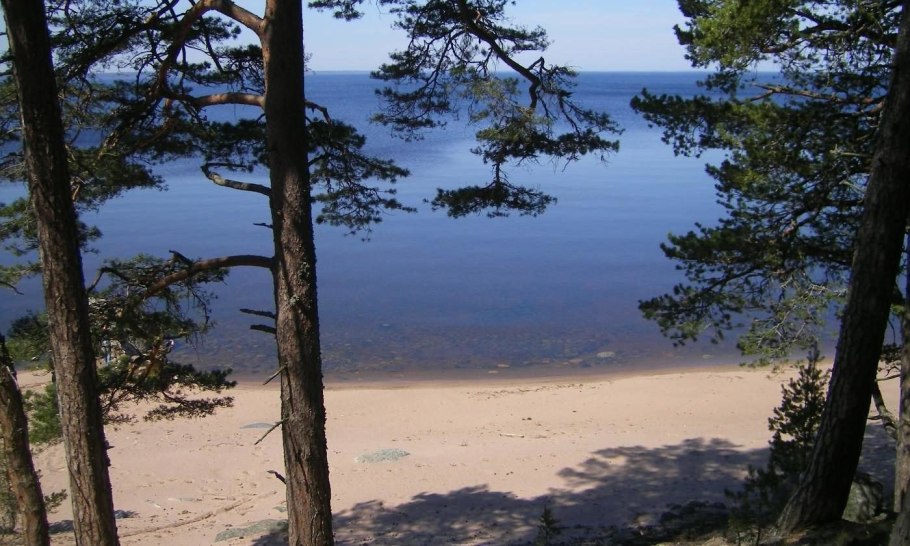 Берег финского залива Сосновый Бор