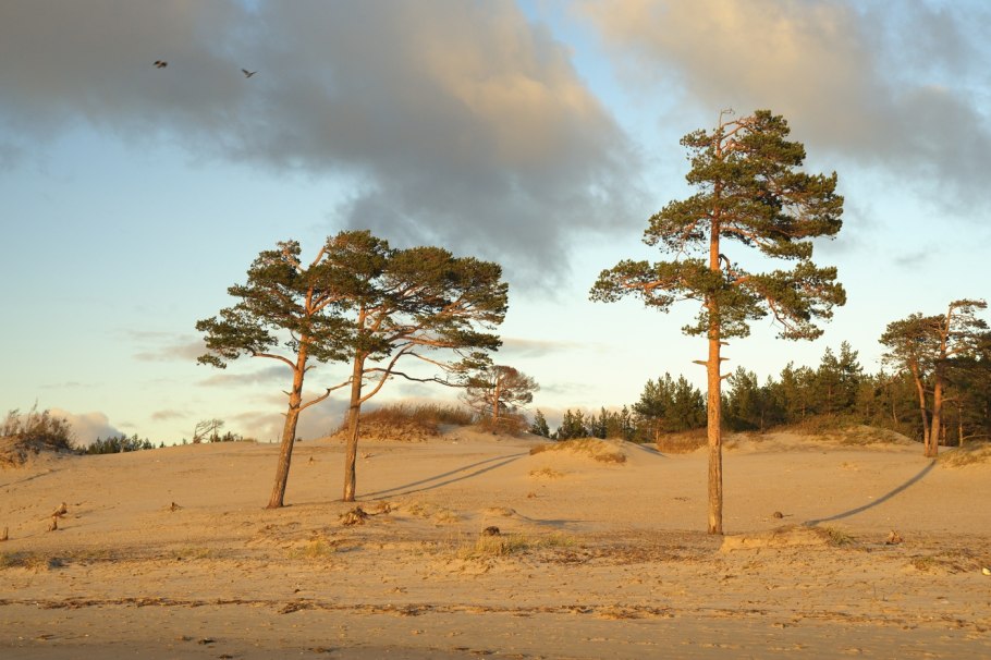 Озеро три сосны Северодвинск