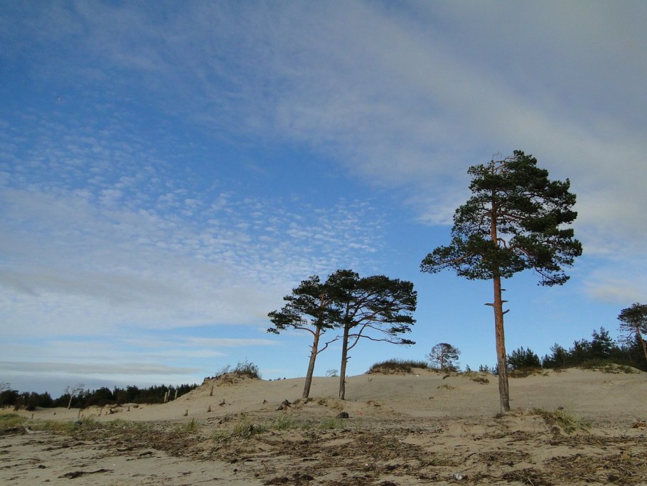 Остров Ягры Северодвинск