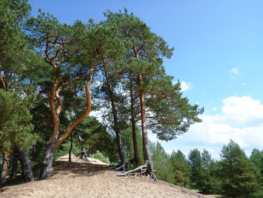 Песчаная Дюна Прилуки