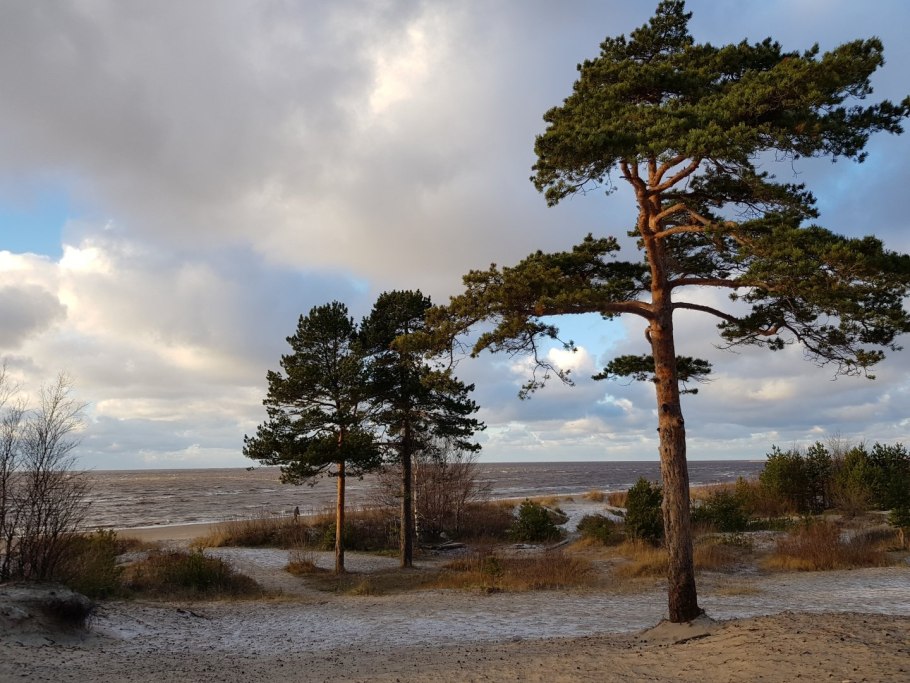 Ягринский Бор Северодвинск