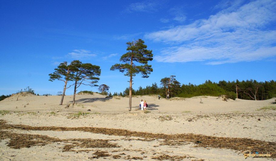 Ягринские дюны