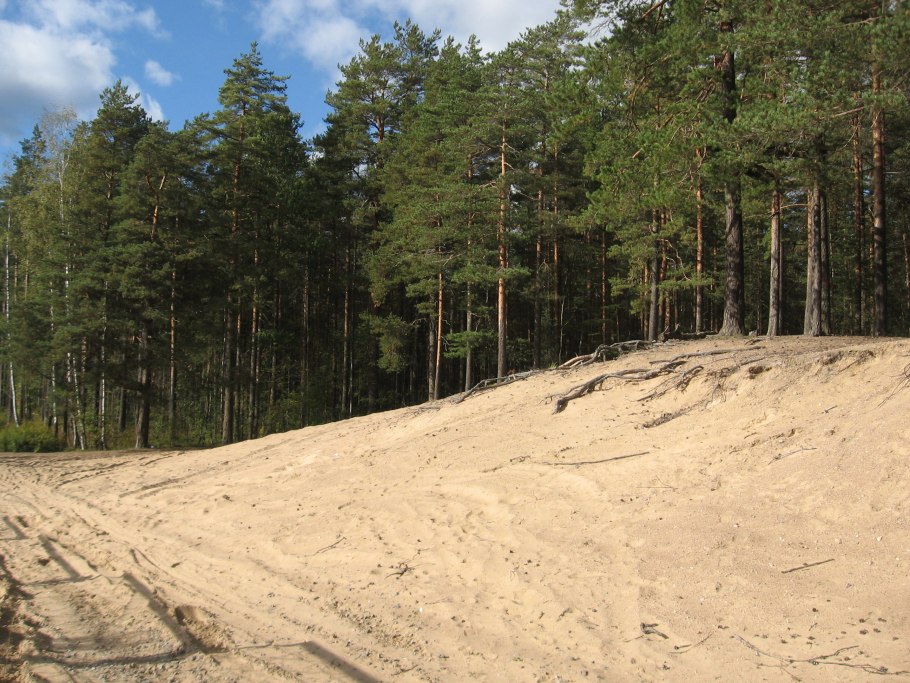 Карьер Смольнинский Сосновый Бор