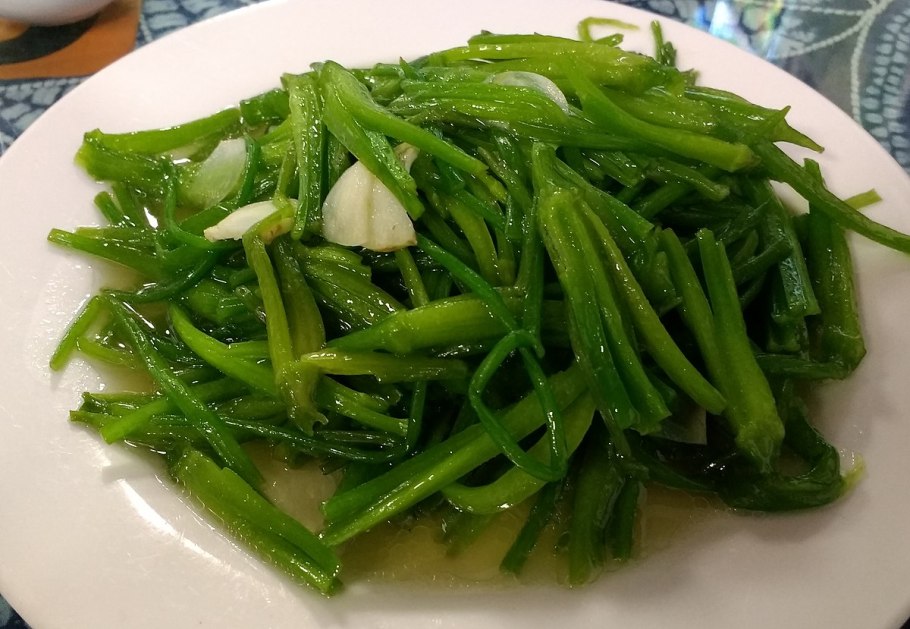 Аквариумное растение кубышка японская