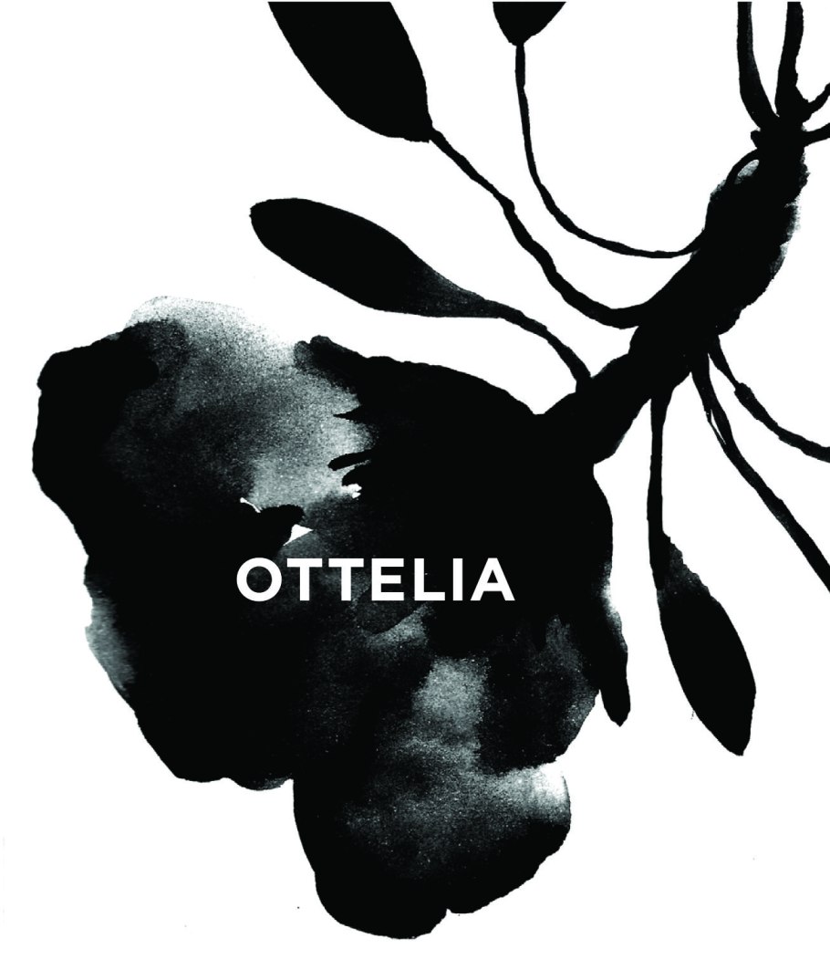 Ottilia отель Копенгаген