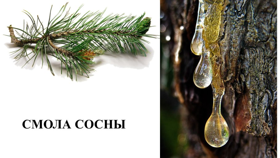 Сосновая смола