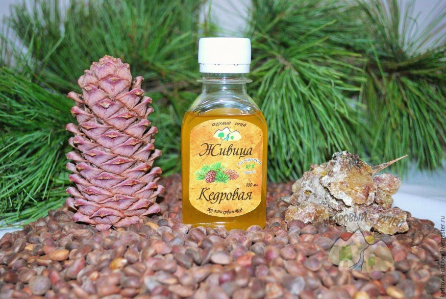Кедровая смола Живица