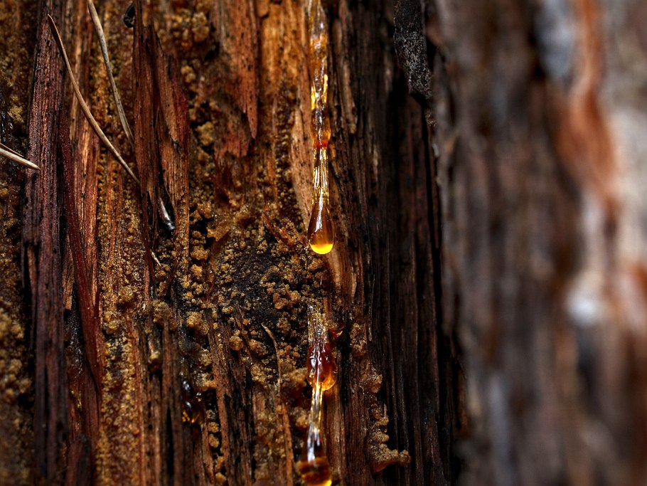 Бдолах смола