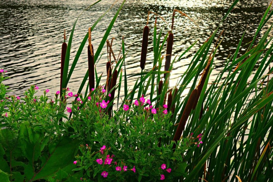 Алюминий 0881 pe