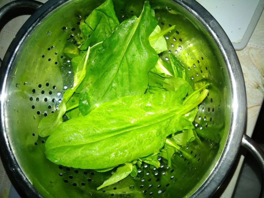 Кислятка и щавель