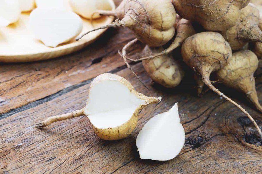 Джикама корнеплод