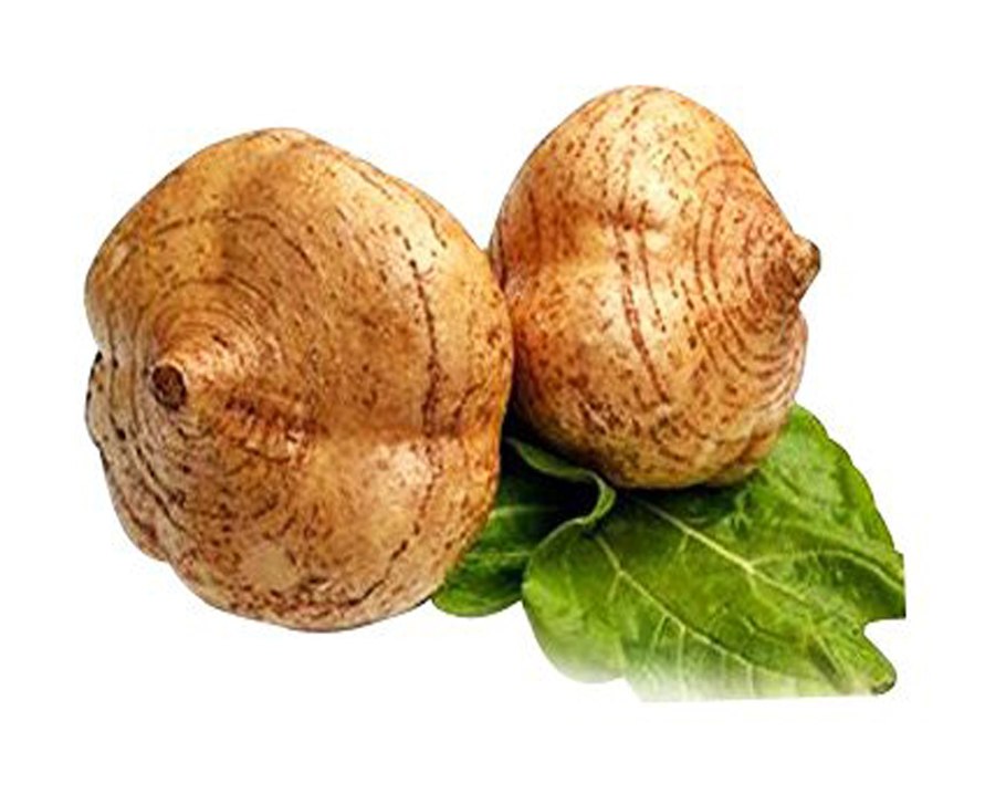 Хикама Мексиканская репа