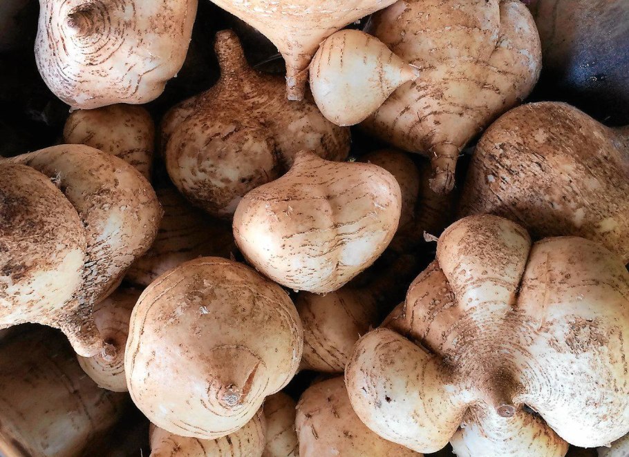 Хикама Мексиканская репа