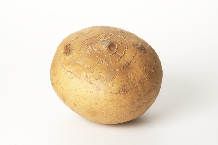 Хикама терапия