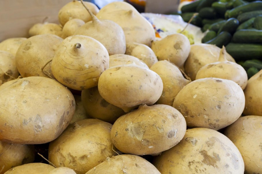 Хикама аппарат